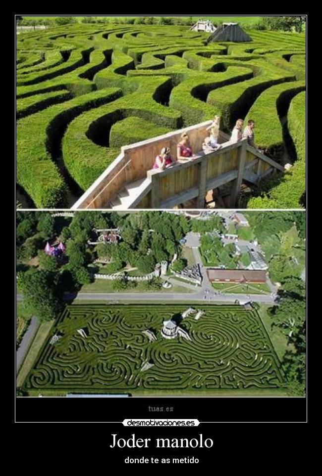Joder manolo - donde te as metido