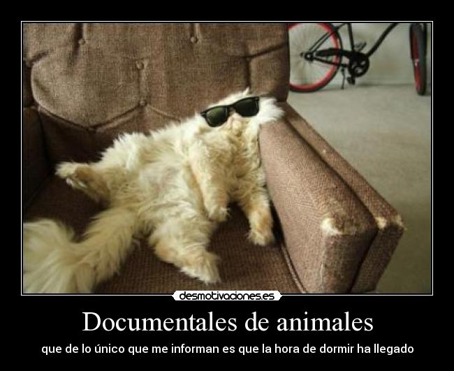 Documentales de animales -