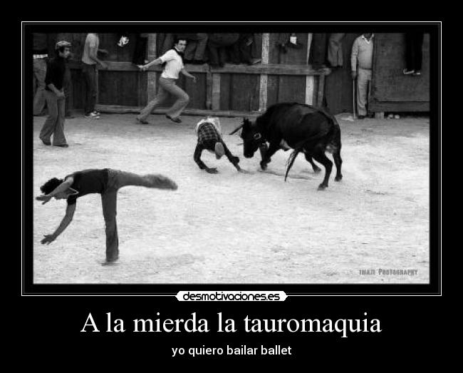 A la mierda la tauromaquia -