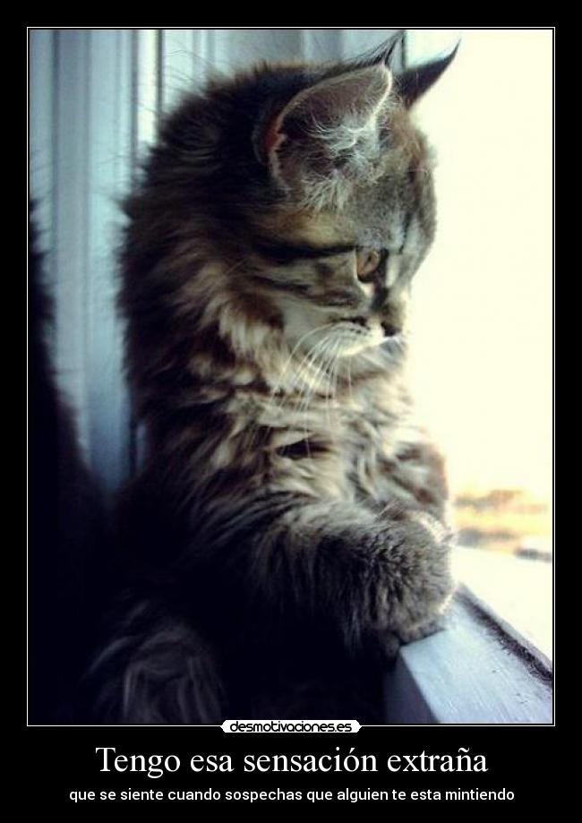 Tengo esa sensación extraña - que se siente cuando sospechas que alguien te esta mintiendo