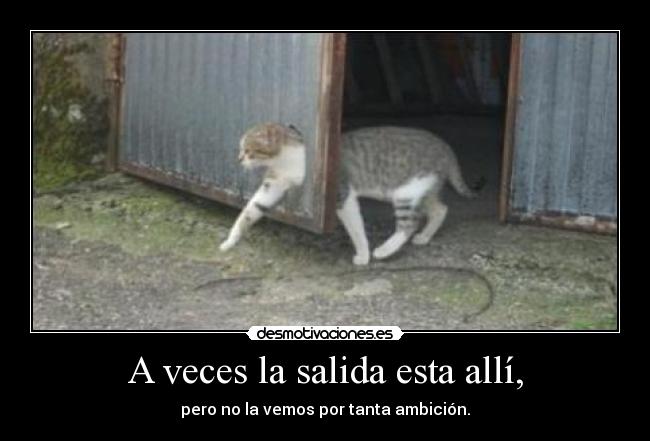 A veces la salida esta allí, -