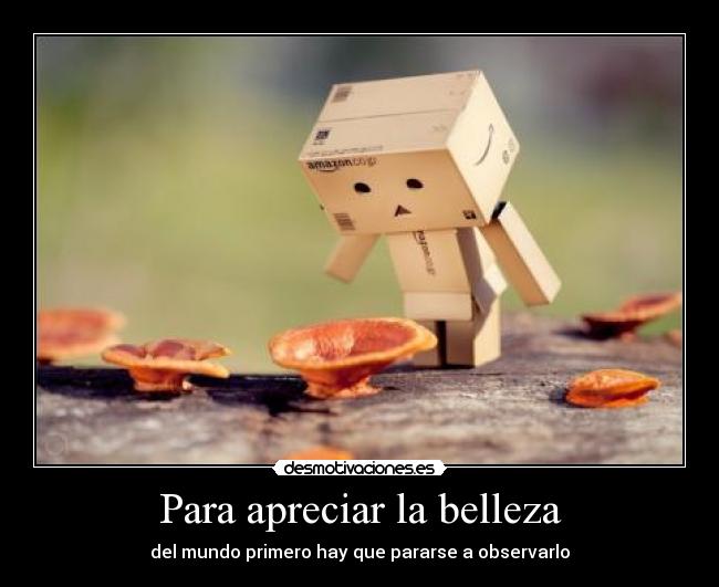 Para apreciar la belleza - del mundo primero hay que pararse a observarlo