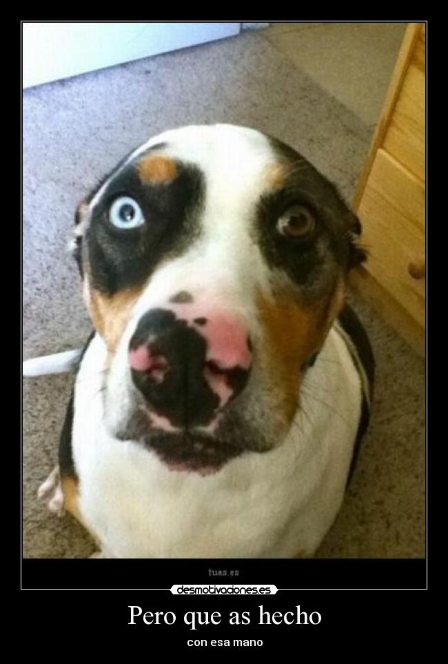 Pero que as hecho - con esa mano