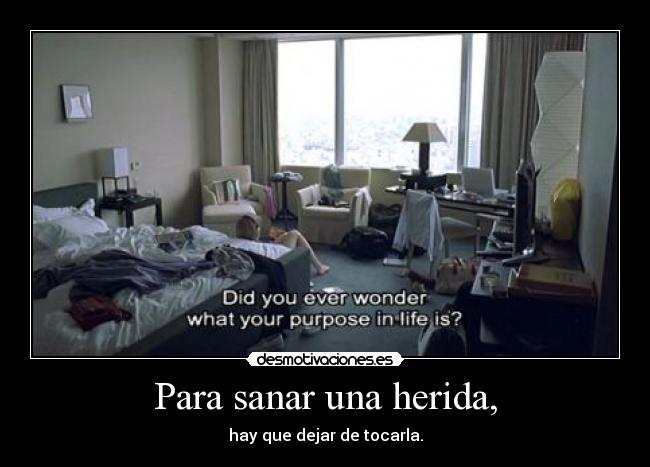 Para sanar una herida, - hay que dejar de tocarla.