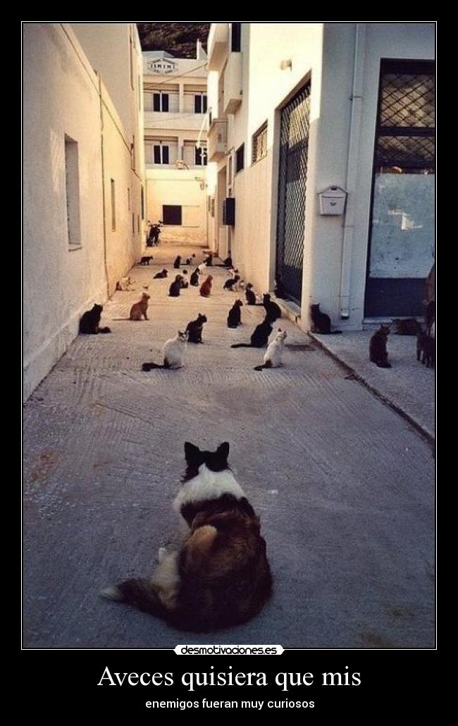 Aveces quisiera que mis - enemigos fueran muy curiosos