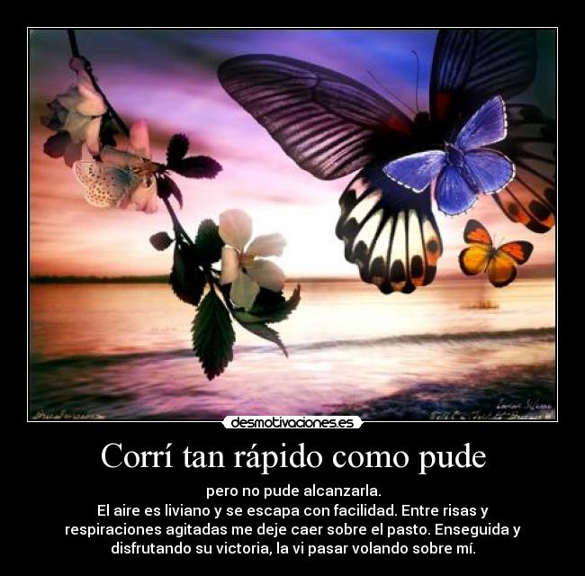 Corrí tan rápido como pude - pero no pude alcanzarla.
El aire es liviano y se escapa con facilidad. Entre risas y
respiraciones agitadas me deje caer sobre el pasto. Enseguida y
disfrutando su victoria, la vi pasar volando sobre mí.