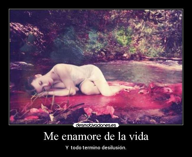 Me enamore de la vida - 