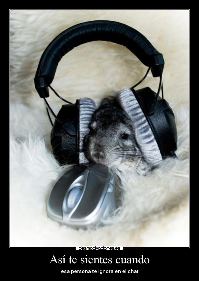 Así te sientes cuando - esa persona te ignora en el chat