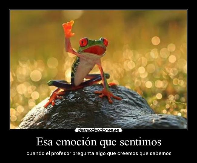 Esa emoción que sentimos - cuando el profesor pregunta algo que creemos que sabemos
