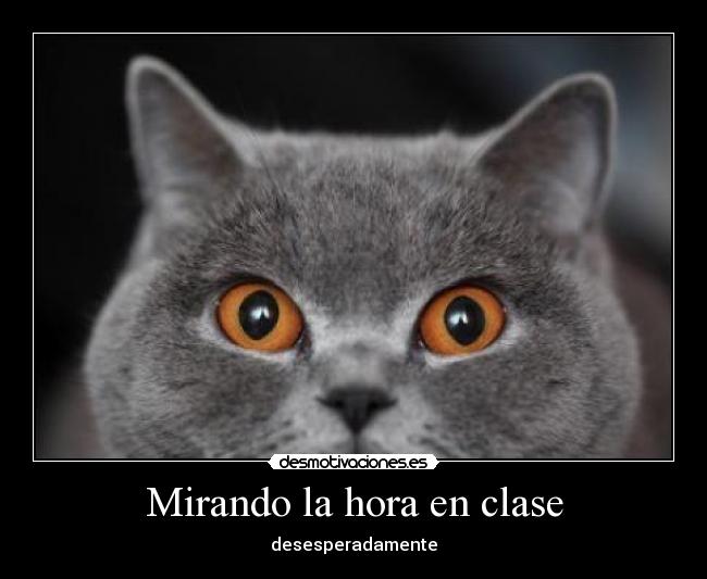 Mirando la hora en clase - desesperadamente