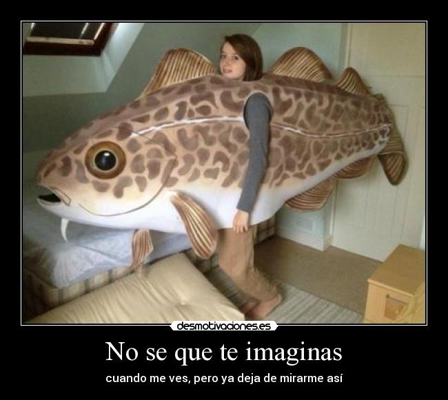 No se que te imaginas -