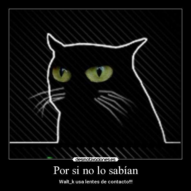 Por si no lo sabían - Walt_k usa lentes de contacto!!!