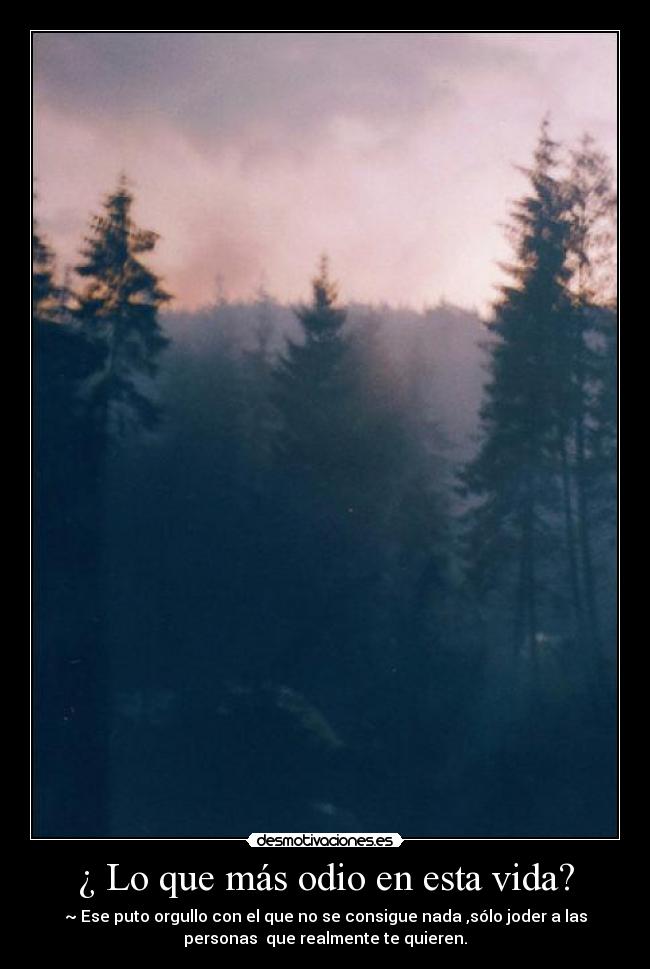 ¿ Lo que más odio en esta vida? - 