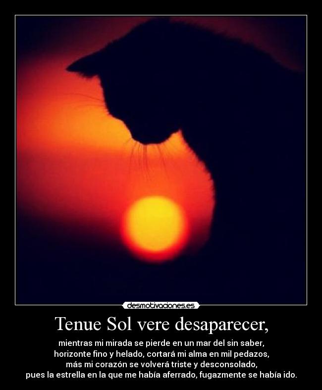 Tenue Sol vere desaparecer, - mientras mi mirada se pierde en un mar del sin saber,
horizonte fino y helado, cortará mi alma en mil pedazos,
más mi corazón se volverá triste y desconsolado,
pues la estrella en la que me había aferrado, fugazmente se había ido.