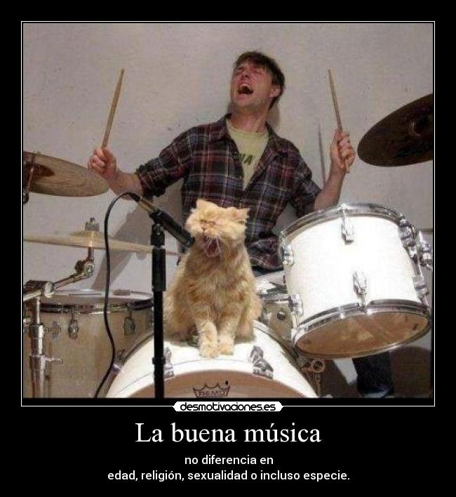 La buena música - no diferencia en
edad, religión, sexualidad o incluso especie.