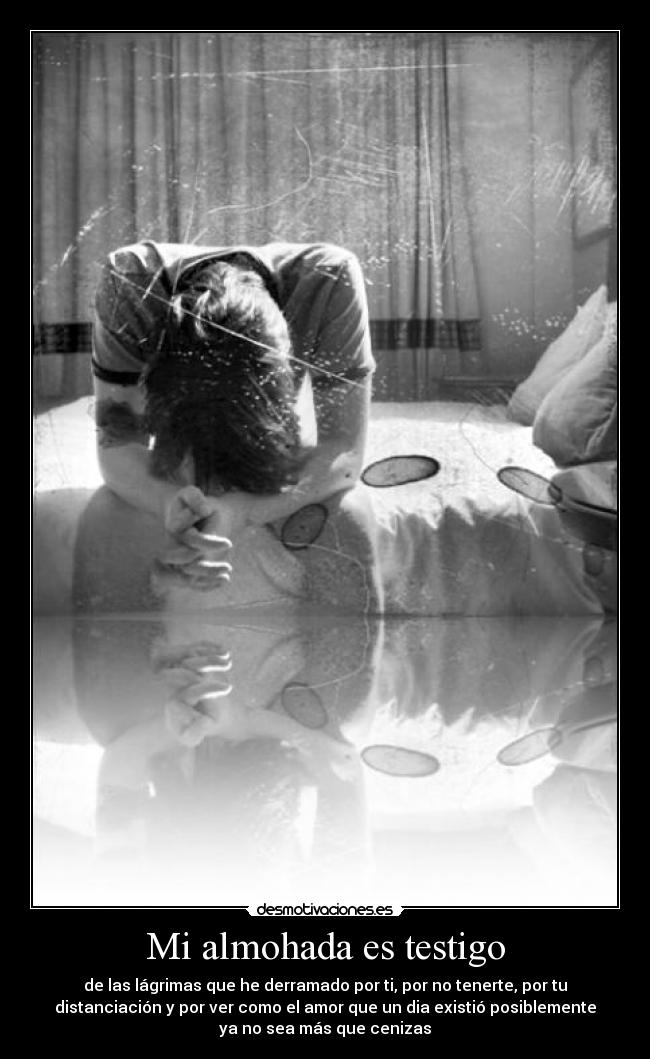Mi almohada es testigo - de las lágrimas que he derramado por ti, por no tenerte, por tu
distanciación y por ver como el amor que un dia existió posiblemente
ya no sea más que cenizas