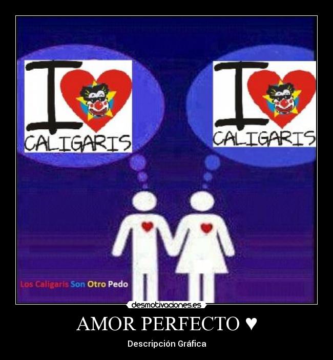 AMOR PERFECTO ♥ -