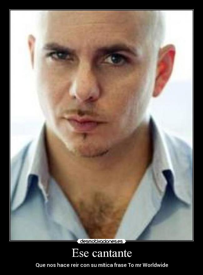 carteles pitbull desmotivaciones