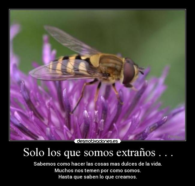 carteles dulce extrano desmotivaciones