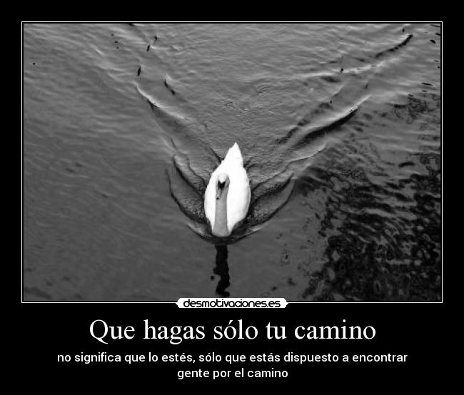 carteles  desmotivaciones