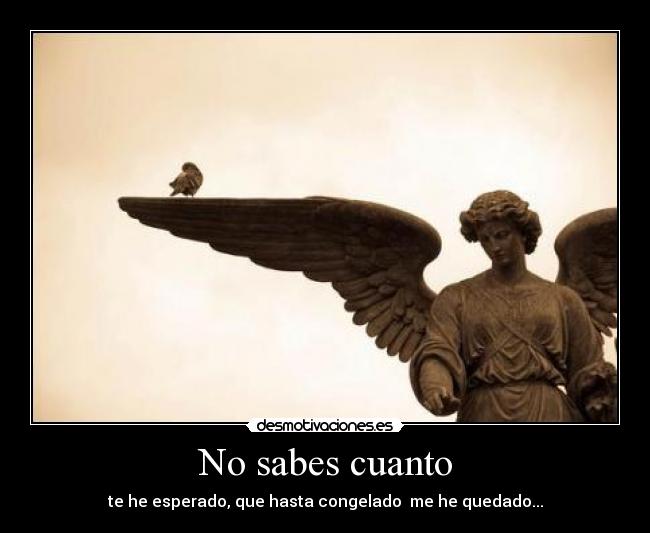 No sabes cuanto -