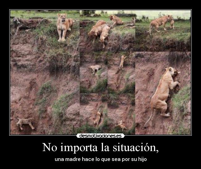 No importa la situación, - una madre hace lo que sea por su hijo