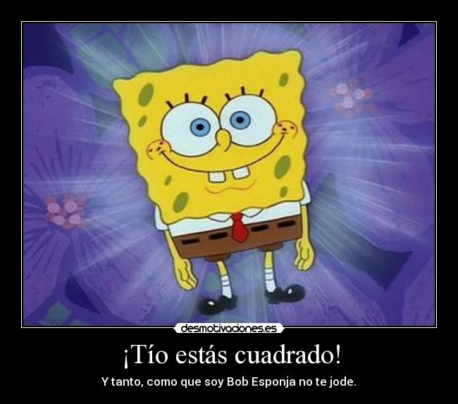 ¡Tío estás cuadrado! - Y tanto, como que soy Bob Esponja no te jode.