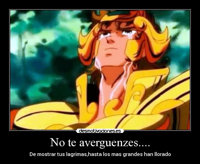 No te averguenzes.... - 