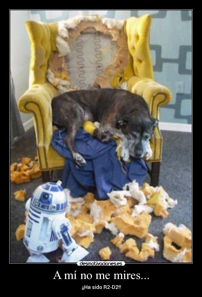 carteles pene nyanyanyanyanyanyanyanyanyanyanyanyanyanyanyan nyan desmotivaciones