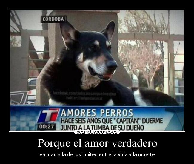 Porque el amor verdadero - va mas allá de los limites entre la vida y la muerte