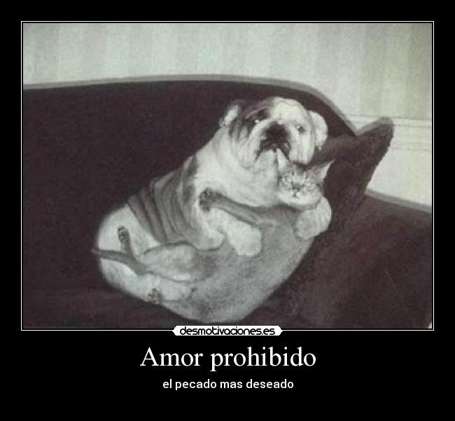 Amor prohibido - 