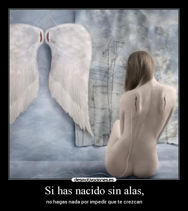 Si has nacido sin alas, -