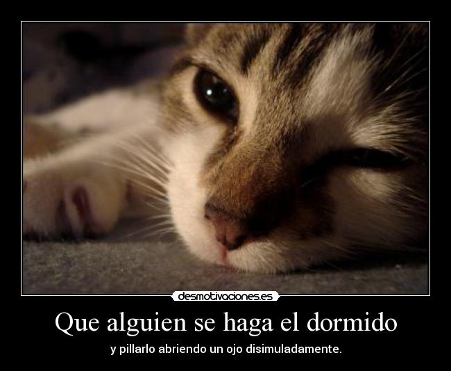 Que alguien se haga el dormido - 