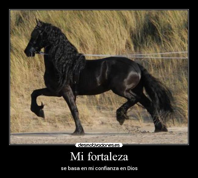 Mi fortaleza -