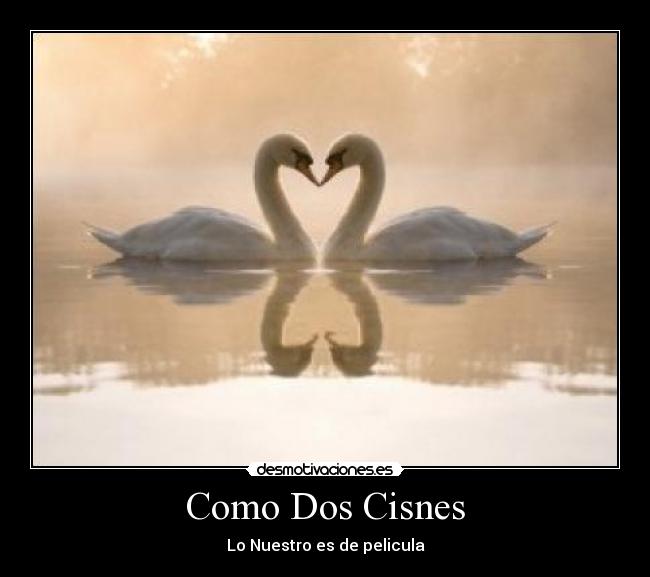 Como Dos Cisnes - Lo Nuestro es de pelicula