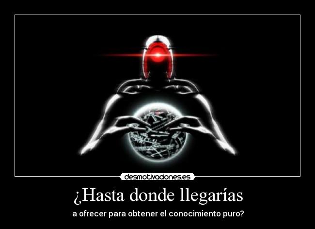 ¿Hasta donde llegarías - 