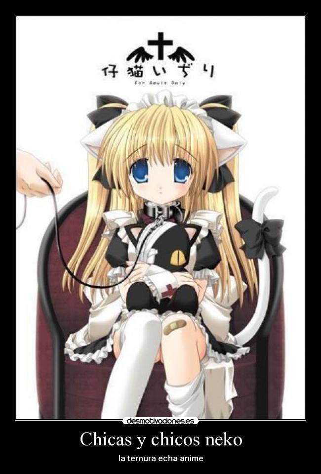 Chicas y chicos neko -