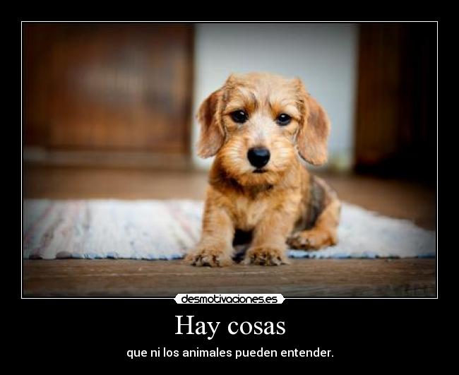 Hay cosas - 