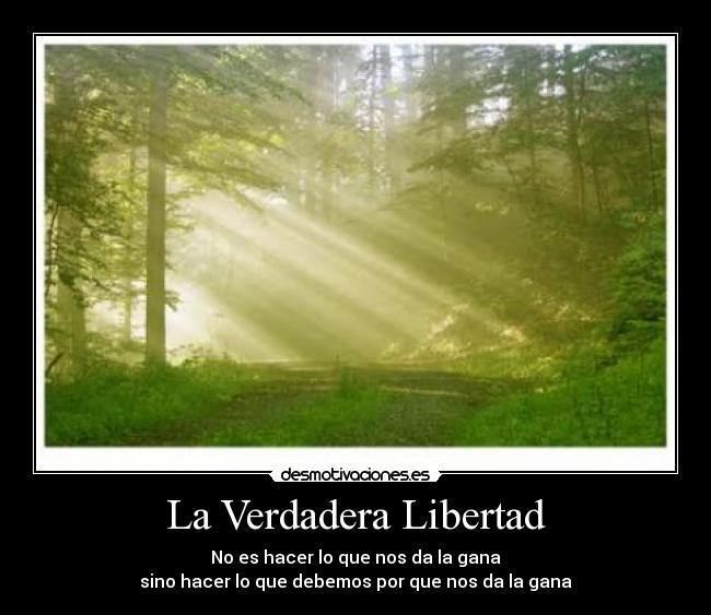 carteles libertad motivacion dilema desmotivaciones