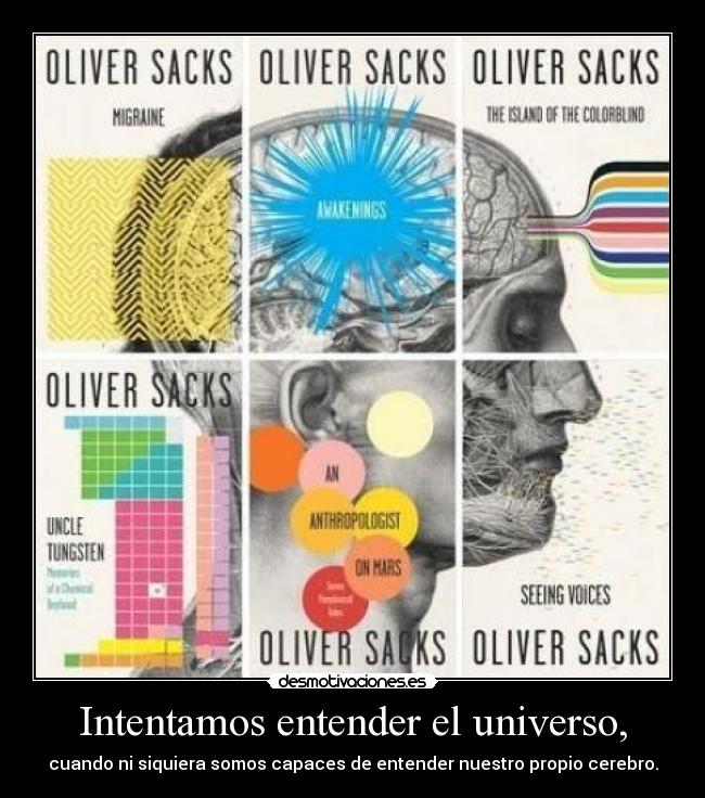 Intentamos entender el universo, - cuando ni siquiera somos capaces de entender nuestro propio cerebro.