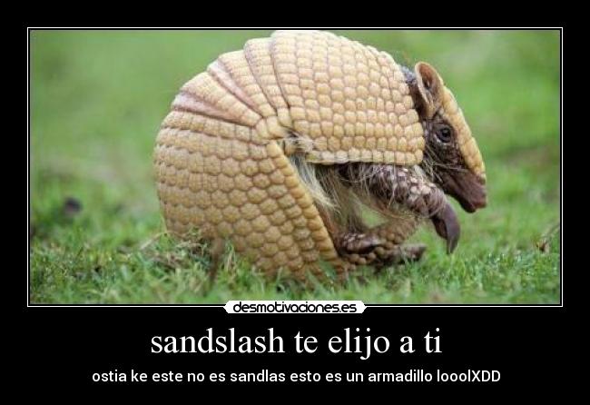 sandslash te elijo a ti - ostia ke este no es sandlas esto es un armadillo looolXDD