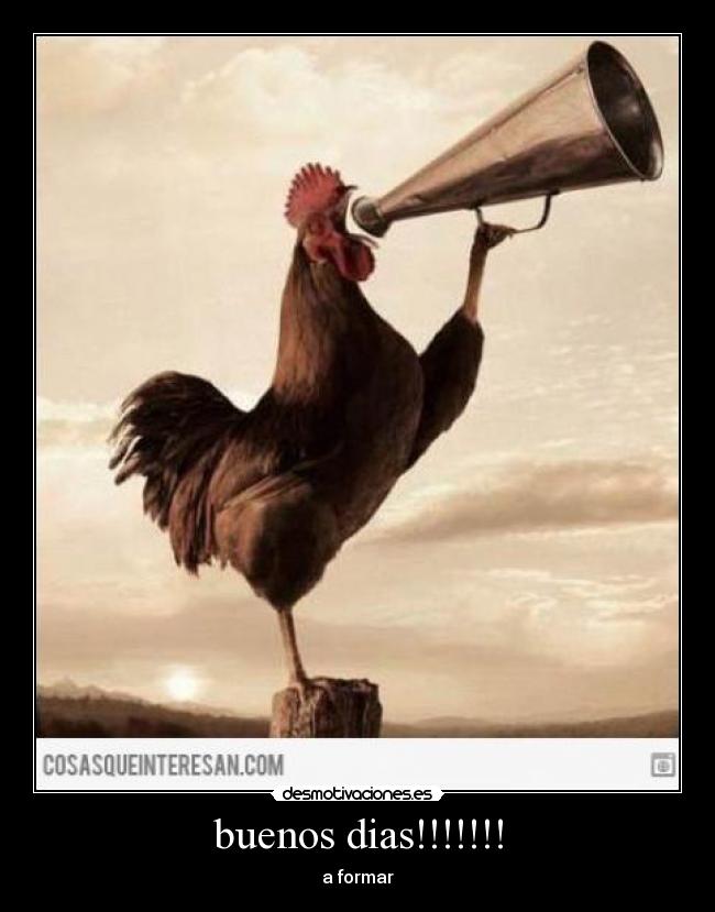 buenos dias!!!!!!! -