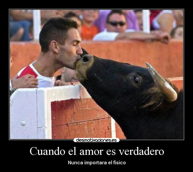 carteles amor amor desmotivaciones