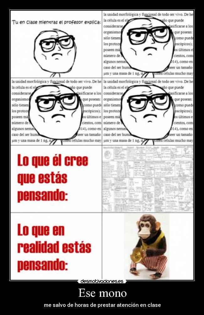 Ese mono - me salvo de horas de prestar atención en clase