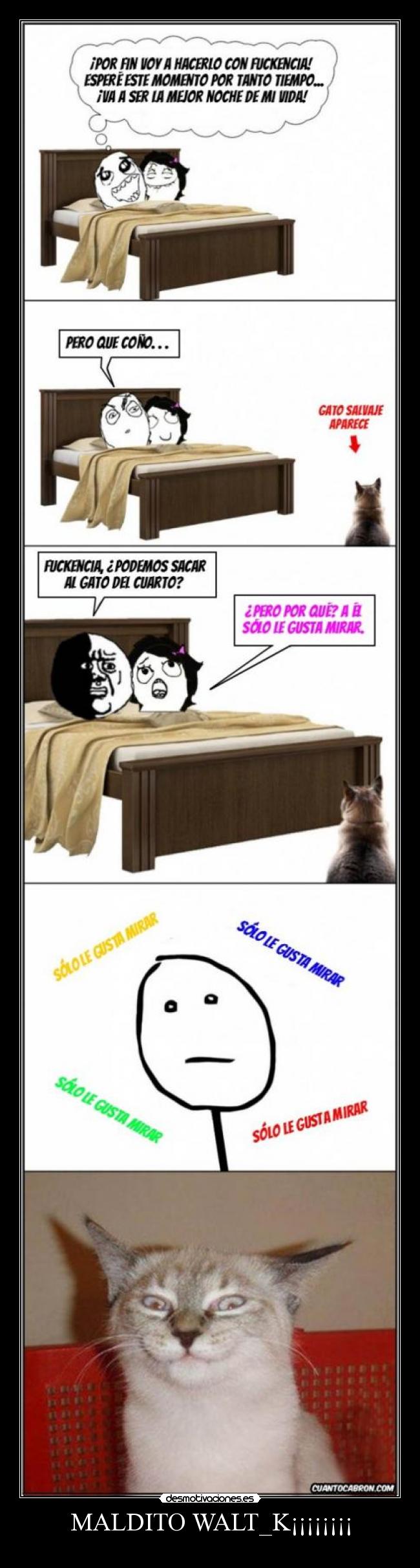 MALDITO WALT_K¡¡¡¡¡¡¡¡ - 