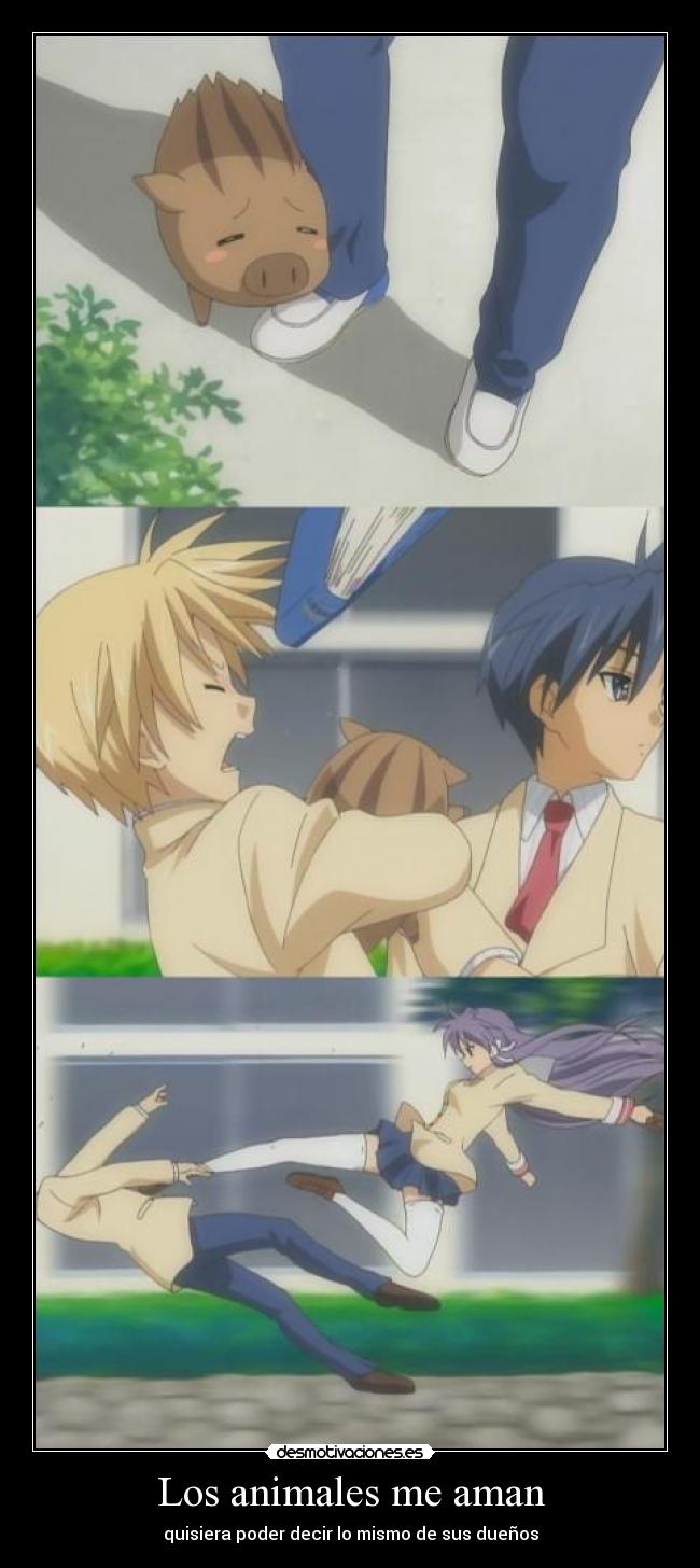 Los animales me aman - 