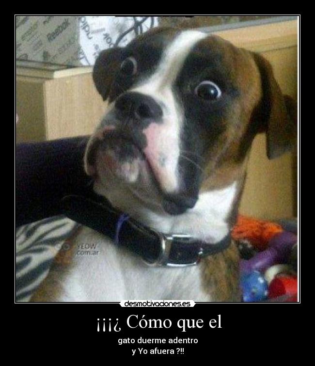 ¡¡¡¿ Cómo que el -