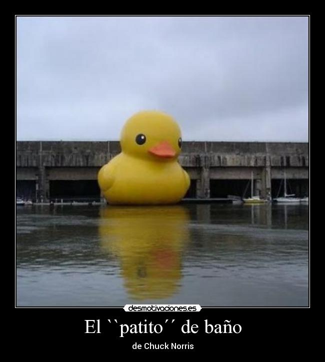 carteles chuck norris desmotivaciones