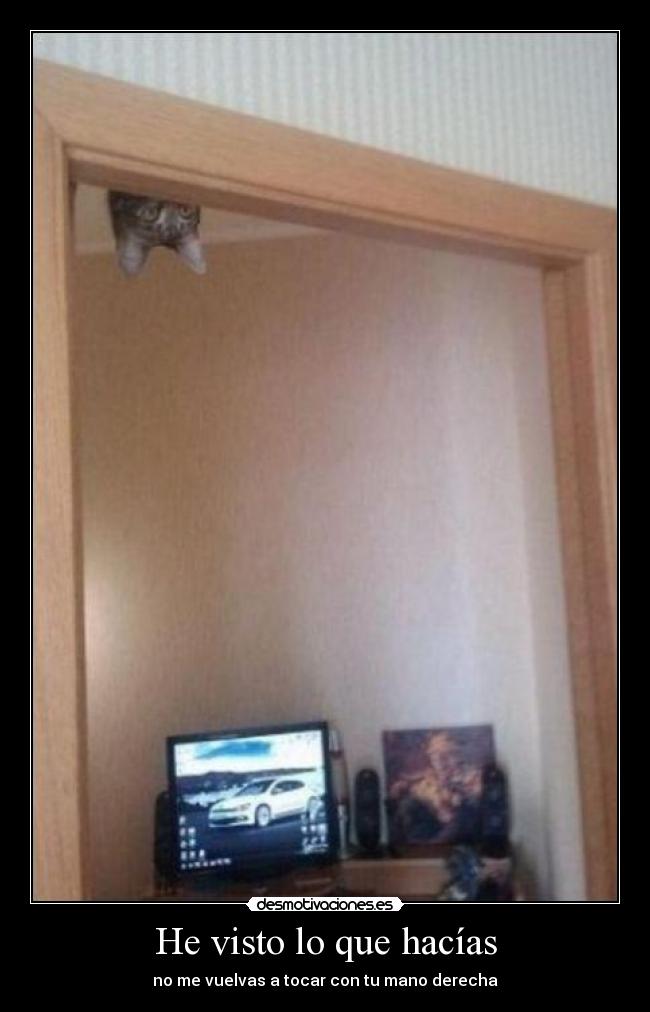 He visto lo que hacías -