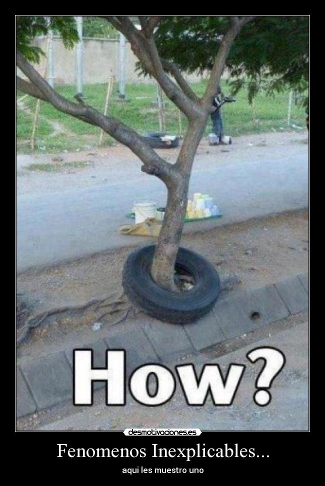 Fenomenos Inexplicables... -